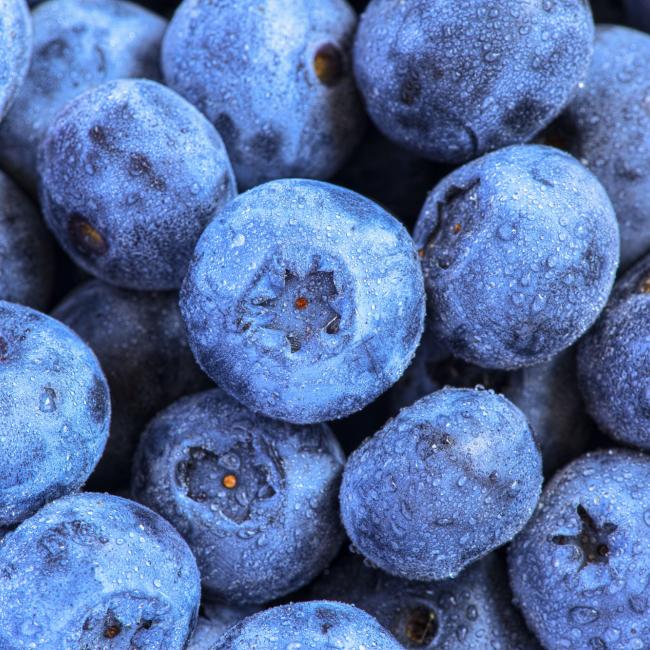 Blauwe Bessen