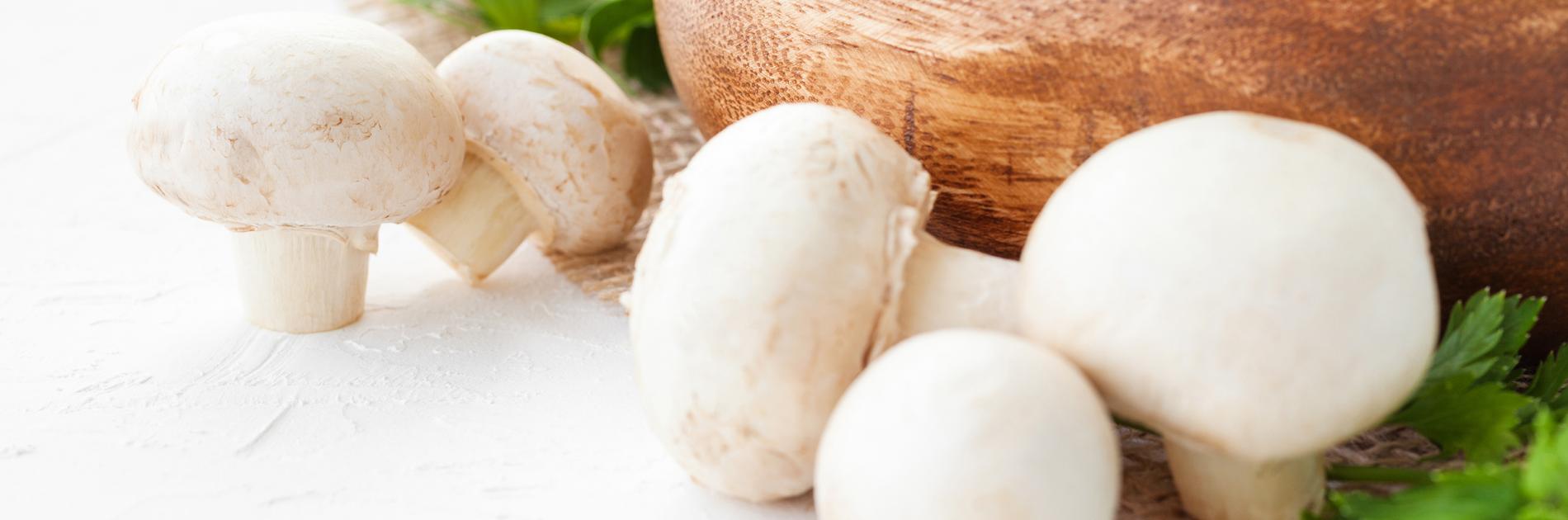 Biologische paddenstoelen