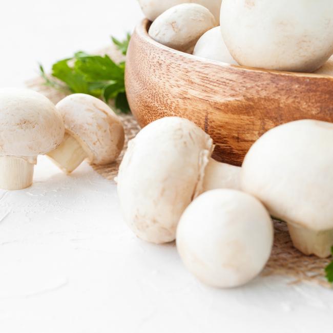 Biologische paddenstoelen