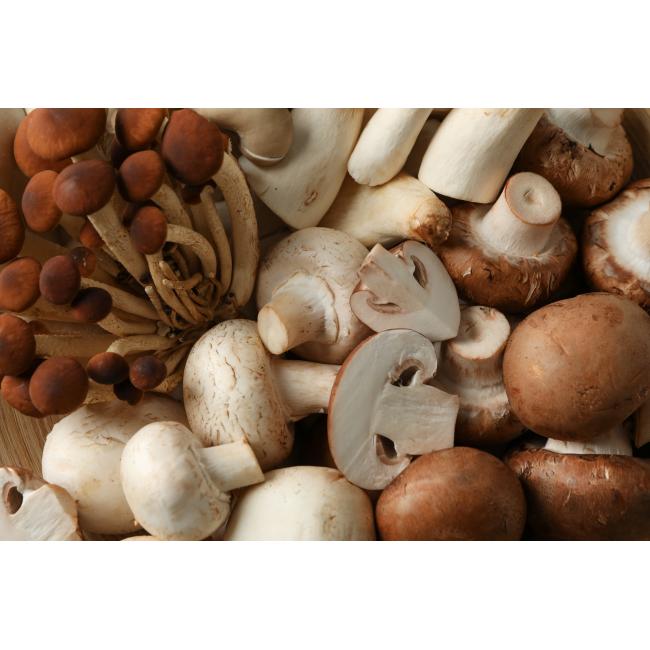 Vitamine D champignons