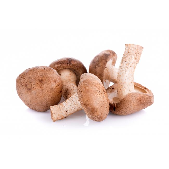Shiitake