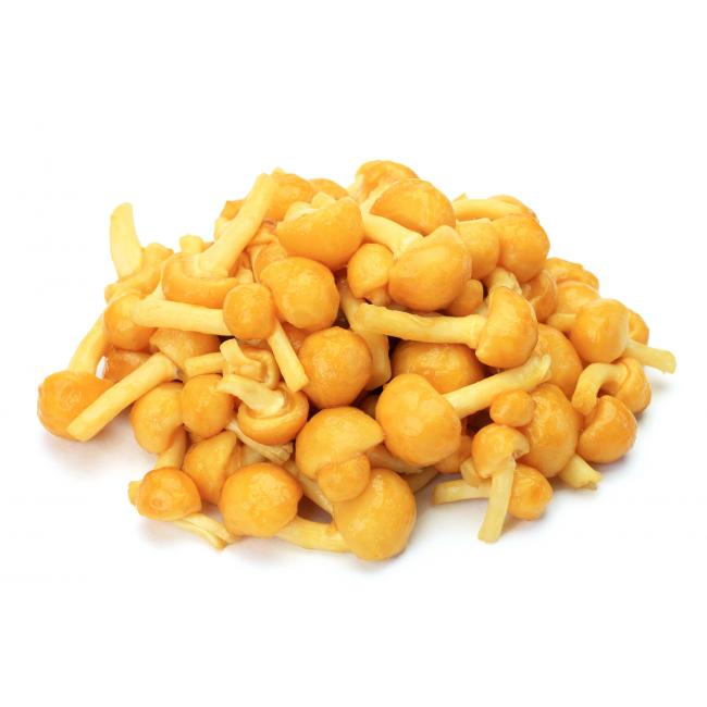 Japanse bundelzwam (Nameko)