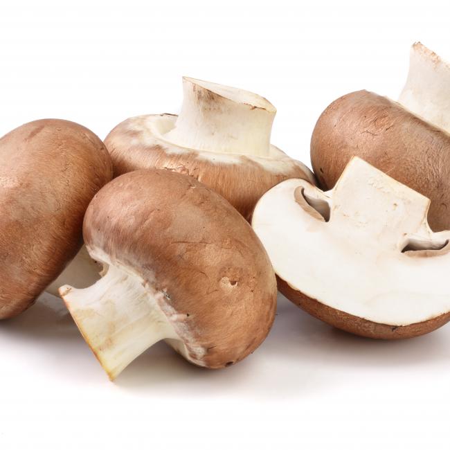 Extra vitamine D in de paddenstoelen van Limax