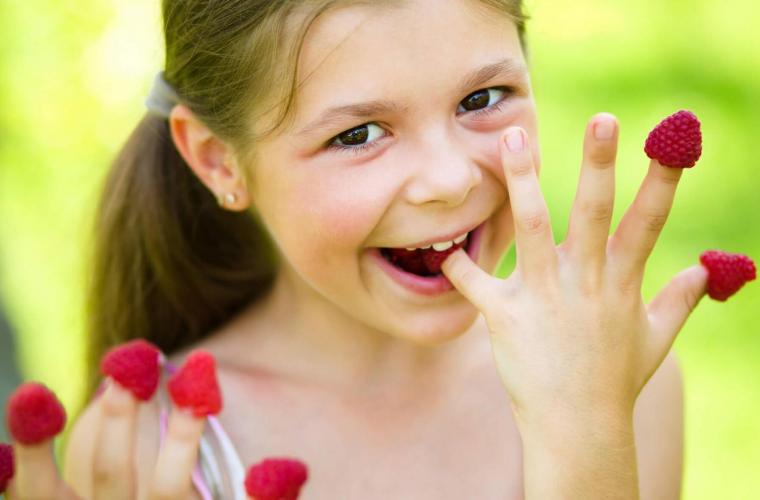 Fresh Delight Since 1979 - Limax